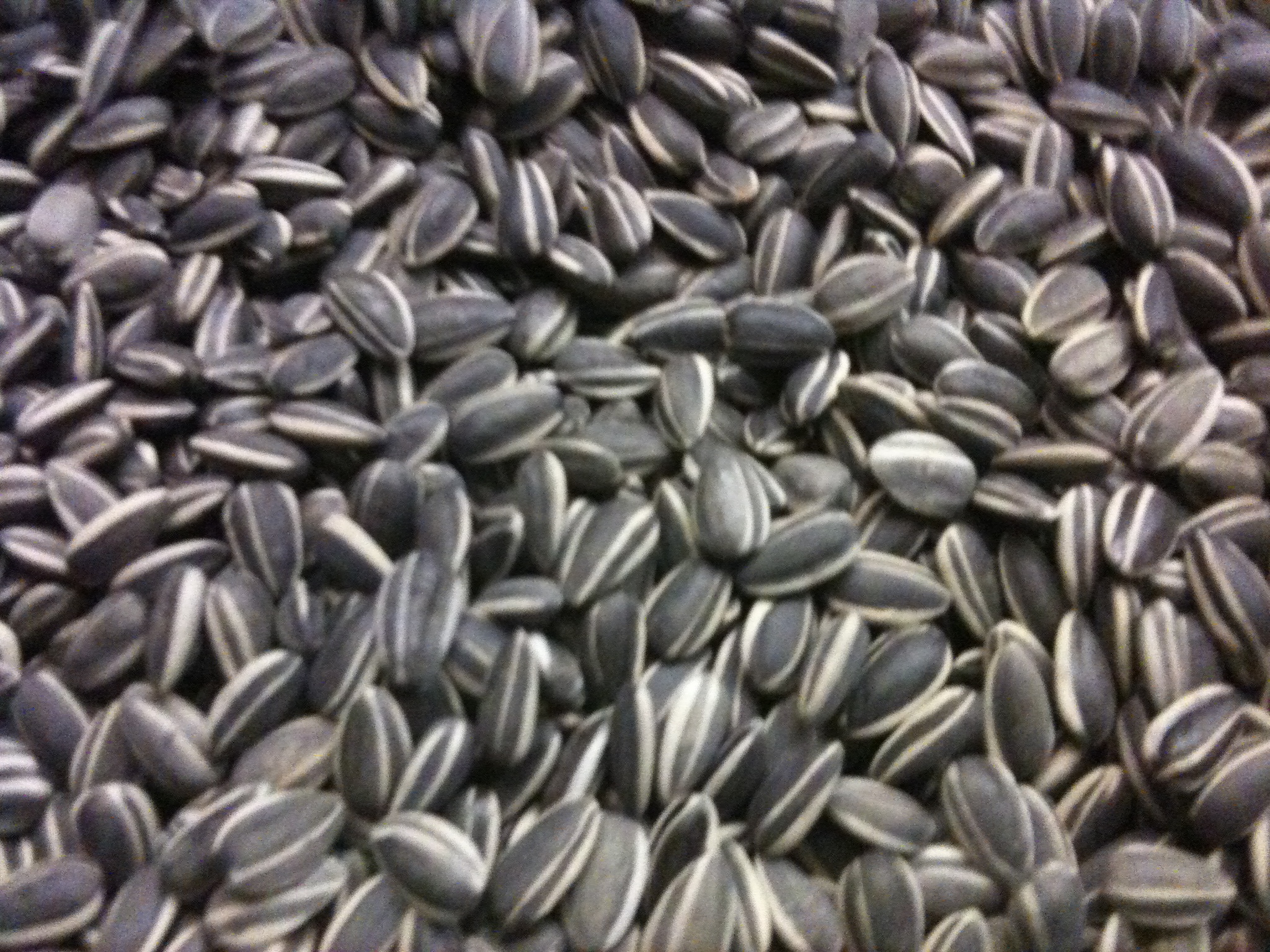 Ai Weiwei exhibition - Sunflower seeds